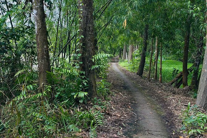 Can Tho: Lung Ngoc Hoang Nature Reserve & Hidden Forests - Birdwatching in a wetland full of movement