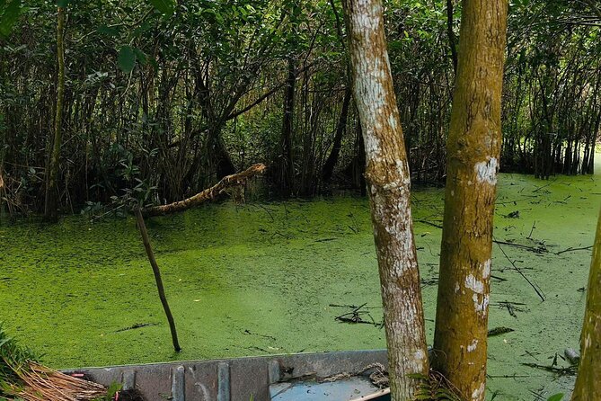 Can Tho: Lung Ngoc Hoang Nature Reserve & Hidden Forests - How the $40 price works in practice