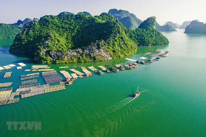 Cat Ba Cruise 2 Days 1 Night - Who should book this Cat Ba cruise?