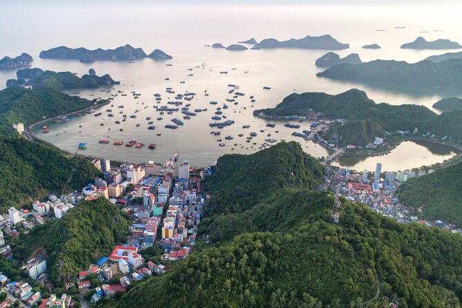 Cat Ba Cruise 2 Days 1 Night - Ba Trai Dao Beach: swimming and sea views