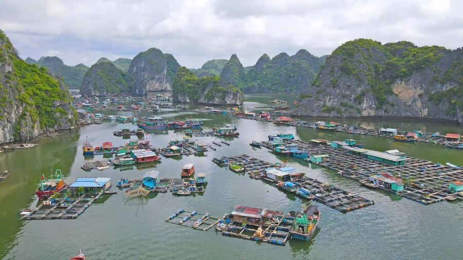 Cat Ba/Ha Noi: Lan Ha and Monkey Island Full Day Boat Trip - Sunset tea and the ride back