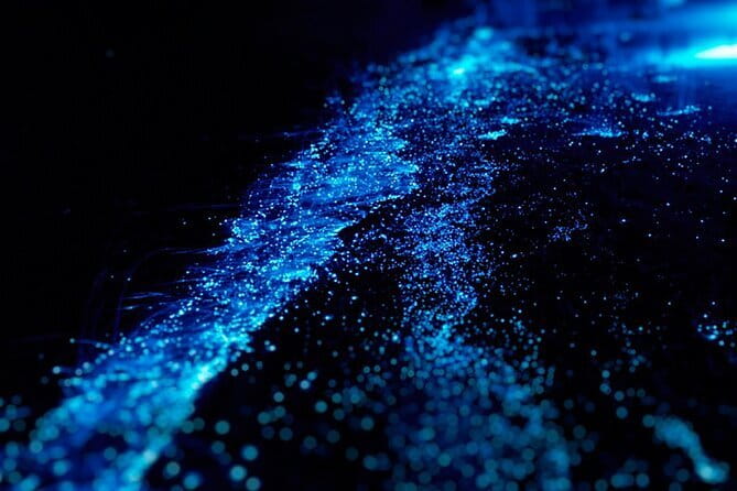 Cat Ba: Sunset & Bioluminescent Kayaking on Lan Ha Bay - Why this six-hour Cat Ba trip works