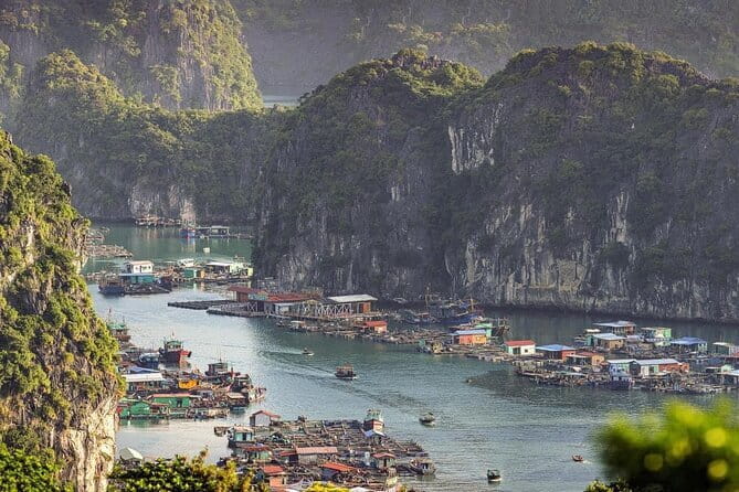 Cat Ba: Sunset & Bioluminescent Kayaking on Lan Ha Bay - Returning to Beo Pier by 8:30 pm