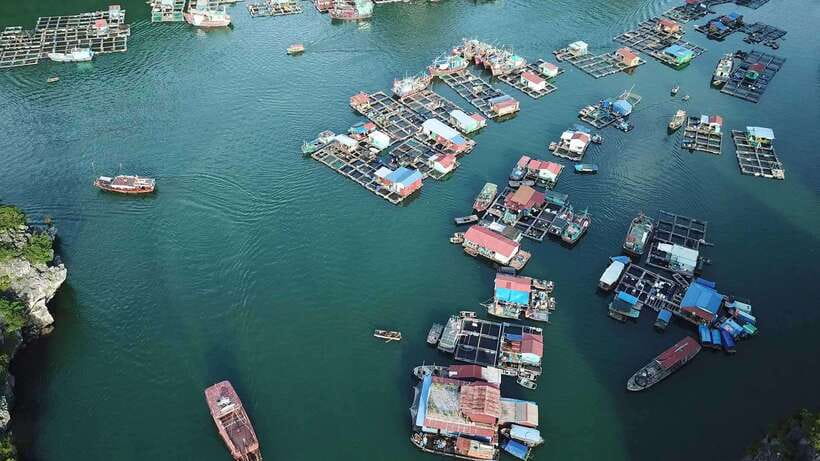 Cat Ba: Sunset on Lan Ha Bay with Sunset Party - Who will get the most from the $24 price