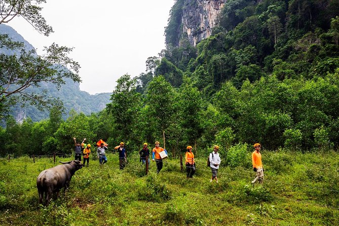 Cha Loi Cave 1 day like Tazan in the Jungle - Why Cha Loi feels different from a standard cave tour