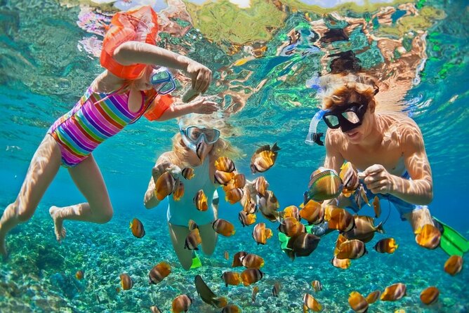 Cham Island Daily-Snorkeling(Optional:Pick up at Cua Dai Port) - Five things to know before booking