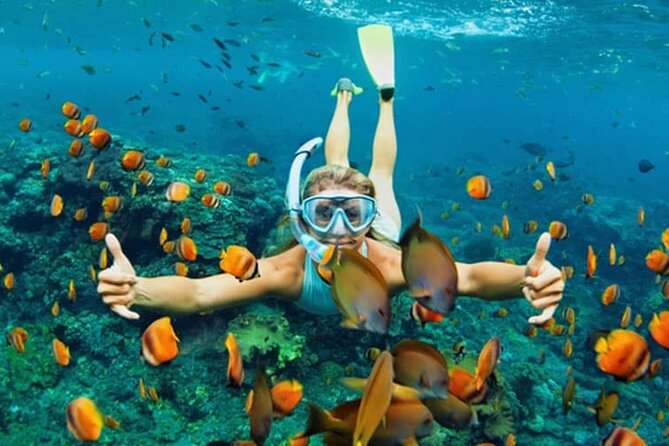 Cham Island Daily-Snorkeling(Optional:Pick up at Cua Dai Port) - What makes Cham Island worth the trip