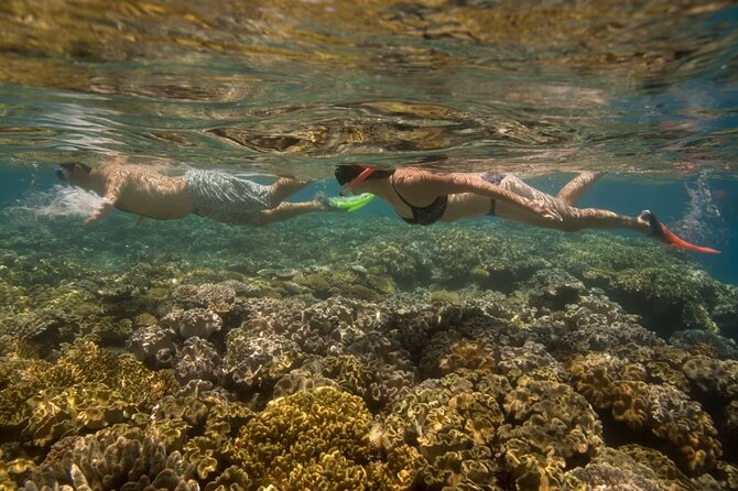Cham Island Daily-Snorkeling(Optional:Pick up at Cua Dai Port) - Beach time, swimming, and the less hurried part of the day