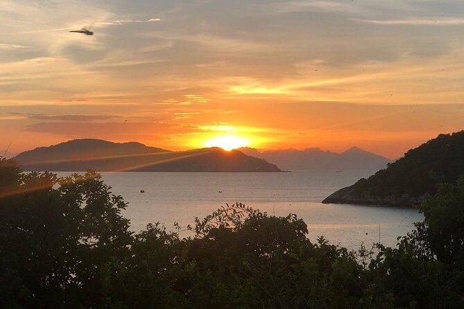 Cham Island Daily-Snorkeling(Optional:Pick up at Cua Dai Port) - Who will enjoy this Cham Island outing