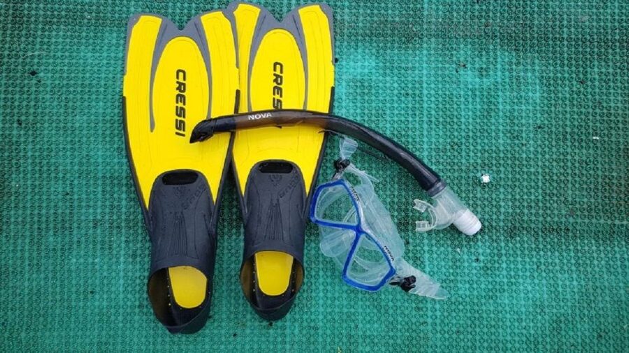 Cham Island: Snorkeling Tour - How good is the snorkeling?