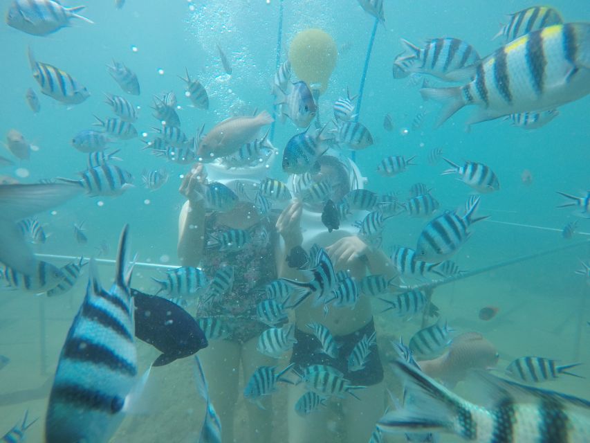 Cham Island: Underwater Walking & Snorkeling Tour - Key points before you book