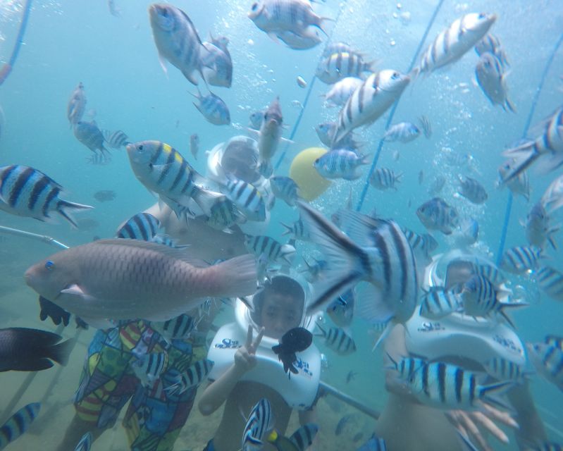 Cham Island: Underwater Walking & Snorkeling Tour - How the underwater walk actually works
