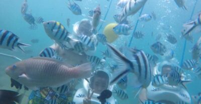 Cham Island: Underwater Walking & Snorkeling Tour