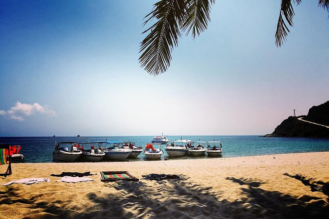 Cu Lao Cham Island Tour from Da Nang/ Hoi An - Au Thuyen, Hai Tang Pagoda, and Ong Temple