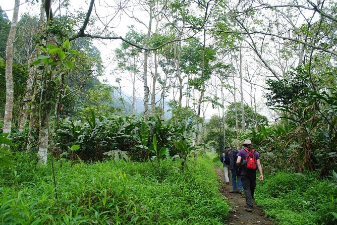 Cuc Phuong National Park Private Day Tour: Trekking & Primates - Why Cuc Phuong makes a worthwhile day from Hanoi