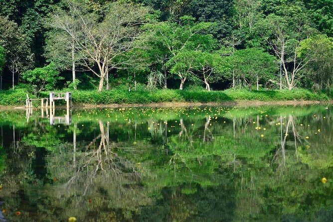 Cuc Phuong National Park Private Day Tour: Trekking & Primates - The 8 a.m. departure and ride southwest