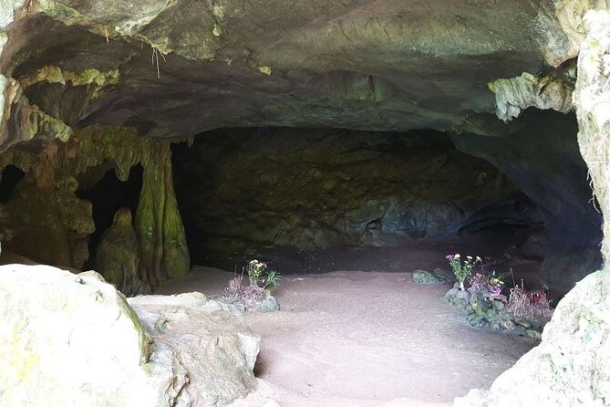 Cuc Phuong National Park Private Day Tour: Trekking & Primates - What the $99 price really includes