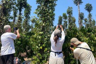 3 Waterfalls Tour (Datanla – Elephant – Pongour)