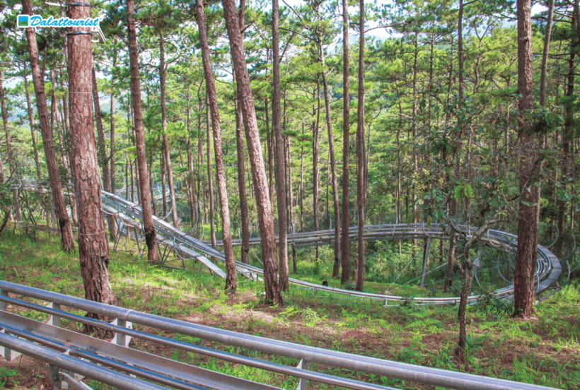 Da Lat: Datanla New Alpine Coaster Experience Entry Ticket - A pine-forest ride near Da Lat