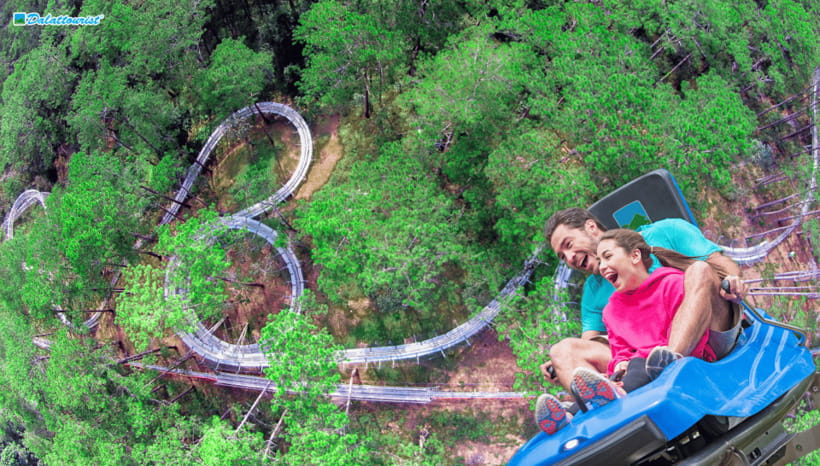 Da Lat: Datanla New Alpine Coaster Experience Entry Ticket - Timing, clothing, and what to carry