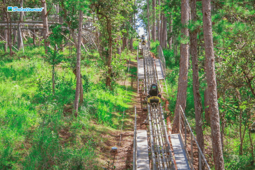 Da Lat: Datanla New Alpine Coaster Experience Entry Ticket - The ticket choice matters more than it should
