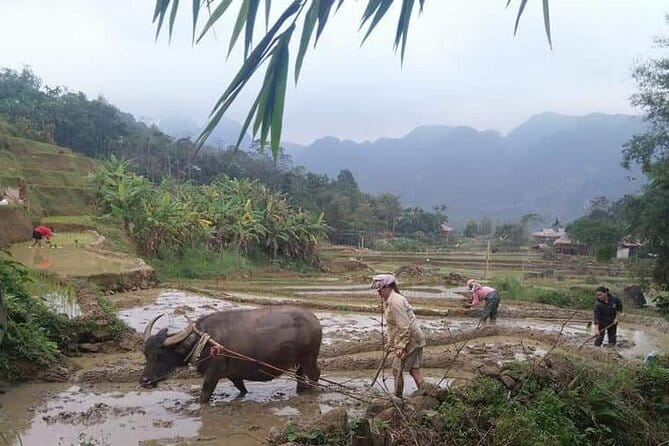 Da Lat Easy Rider-3 Days From Dalat To Ho Chi Minh city - Why this route is different from a normal Dalat transfer