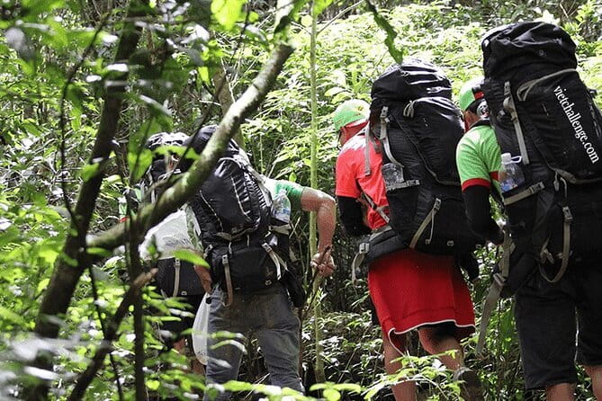 Da Lat: Half-Day Morning - Clay Tunnel, Crazy House, Datanla Fall - Who Should Book This Morning Outing?