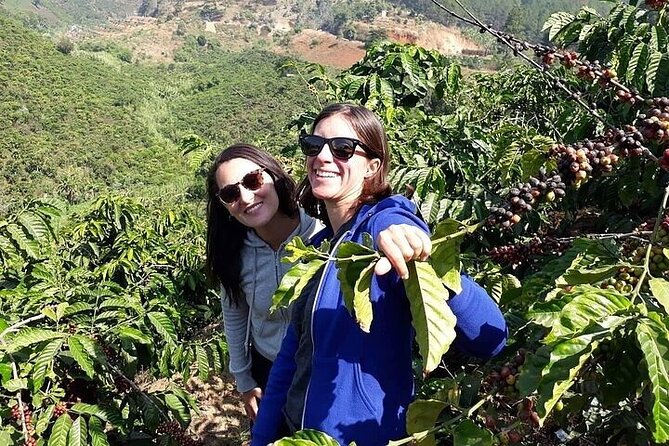 Da Lat Loop Tour On Motorbike - Private Tour - What the $49 price really covers