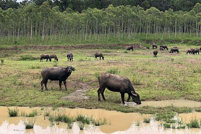 Da Lat Loop Tour On Private Car - Five reasons this Da Lat loop is different