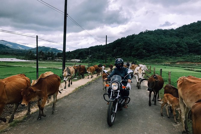 Da Lat's Countryside & Waterfalls Day Tour by Motorbike - Key points to know before booking