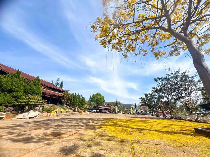 Dalat: 3 Waterfalls Day Tour — Datanla, Pongour & Elephant - Van Thanh Flower Village: a brief first look