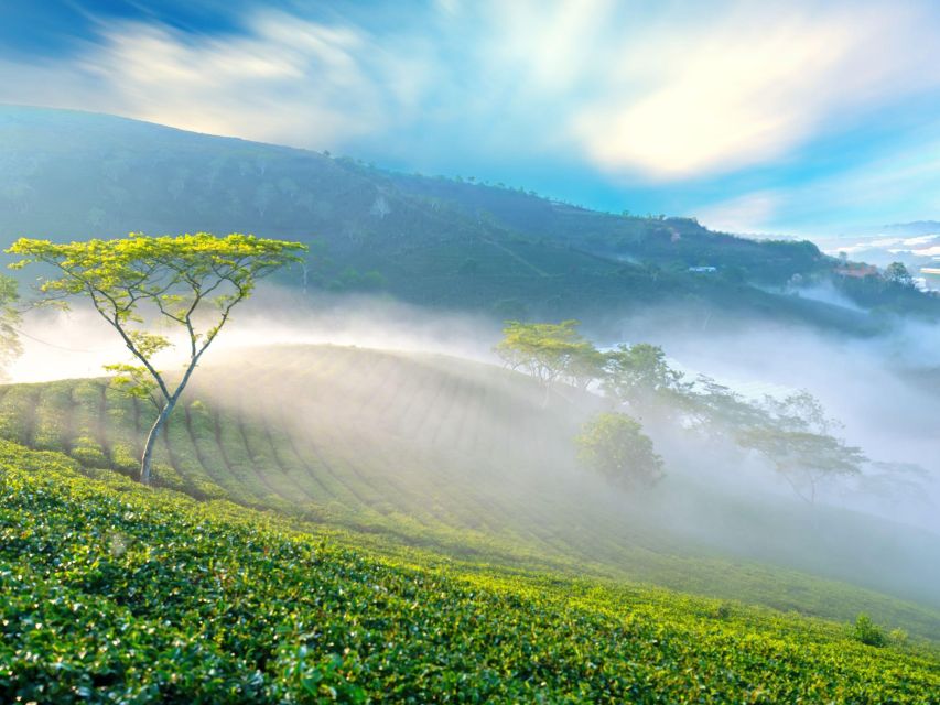 Dalat: Best of the Countryside Tour in a Private Car - Key points to know before booking