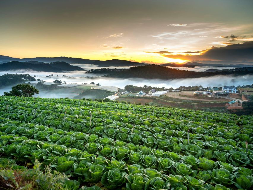 Dalat: Best of the Countryside Tour in a Private Car - What the private format adds