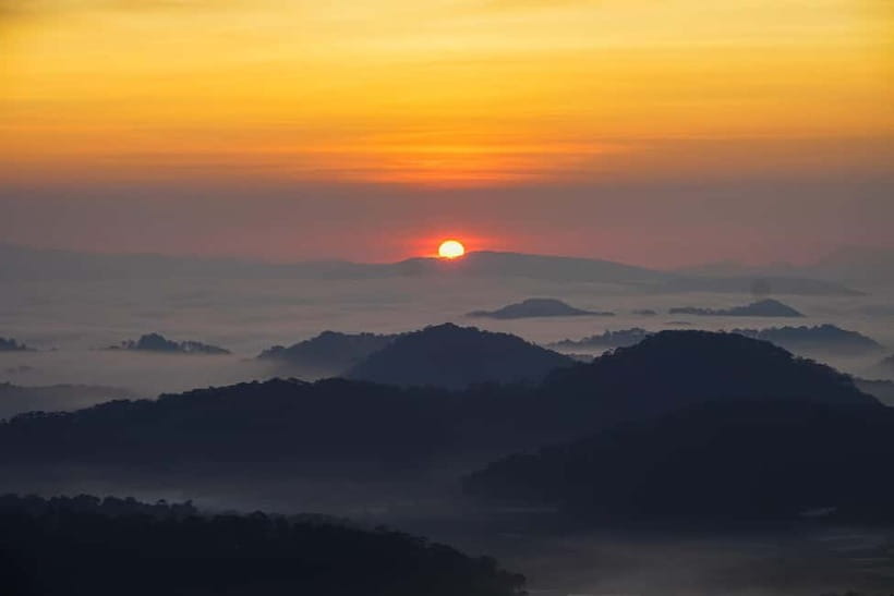 Dalat: Cloud Chasing packaged hike - Sunrise Pickup Included - Toast, Coffee, And Artichoke Tea In The Forest