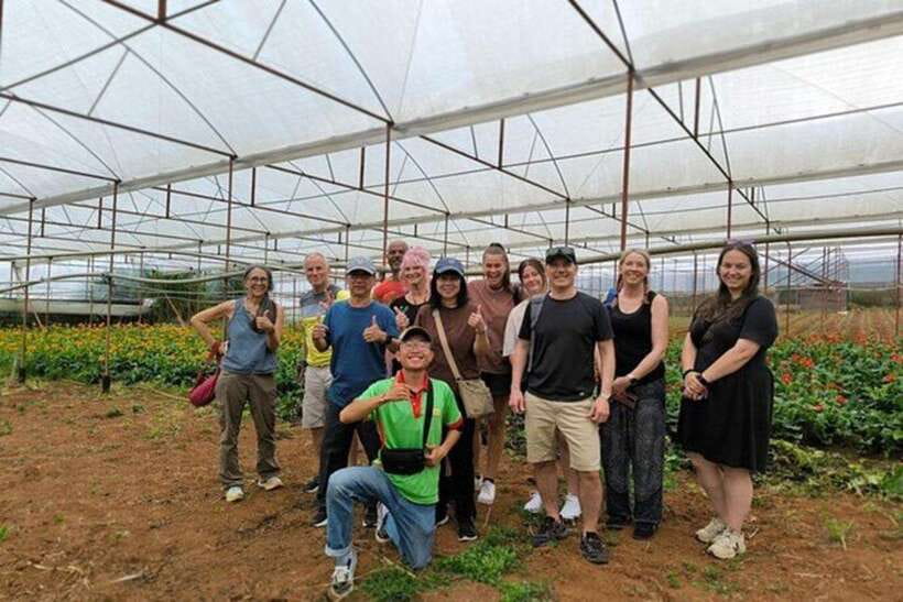 Dalat Countryside & Pongour Waterfall Tours (Small Group) - The best reasons to choose this Da Lat day trip
