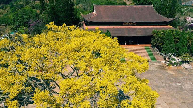 Dalat Countryside & Pongour Waterfall Tours (Small Group) - Why the $22 price makes sense
