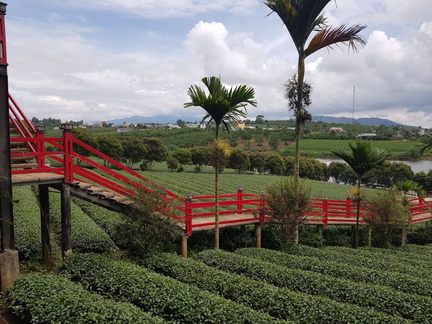 Dalat: Countryside Tour with Silk Village & Elephant Falls - Linh An Pagoda and the 71-meter Lady Buddha