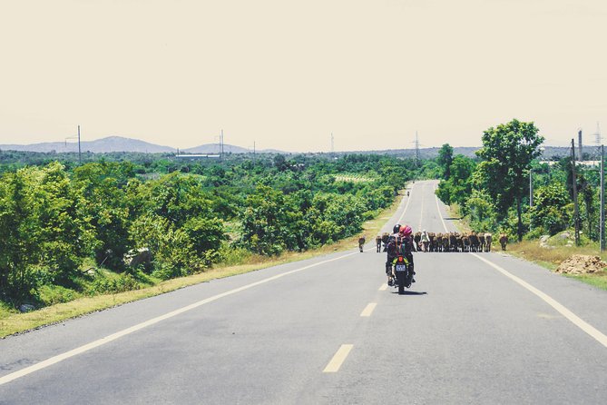 Dalat Go Kart - Mongoland & Dalat Countryside Group Tour - The Mario Kart-style downhill go-kart run