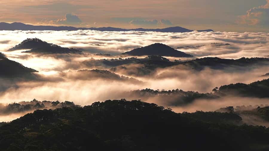 Dalat: Sunrise Trekking and Cloud Hunting experience - Breakfast, Coffee, and the Practical Comforts