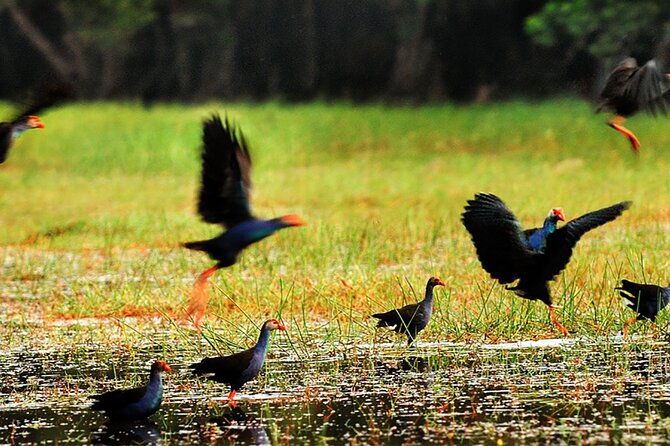 Discover Mua Xuan Nature Reserve - The viewing tower and 30-minute forest walk