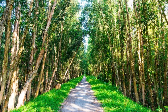 Discover Mua Xuan Nature Reserve - Birds, plants, and the quiet work of observation