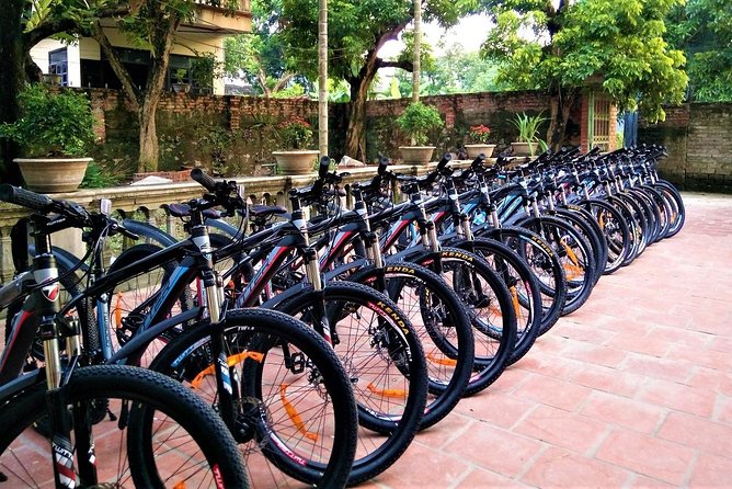 Discover Trang An Natural World Heritage, Bich Dong Pagoda, Cycling Day Tour - Cycling through rice fields near Tam Coc