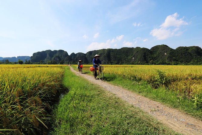 Discover Trang An Natural World Heritage, Bich Dong Pagoda, Cycling Day Tour - Who should book this Ninh Binh tour?