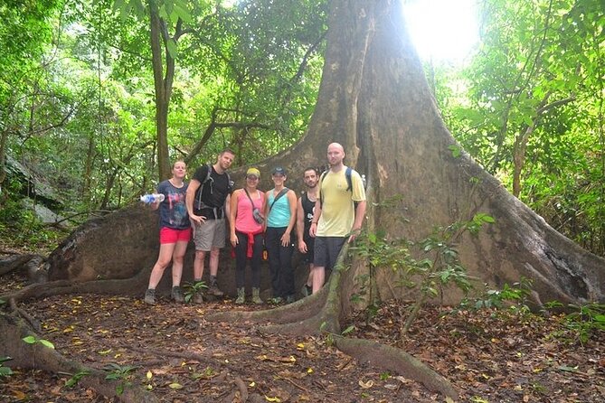 Elephant Cave and Ma Da Valley | Secrets of Phong Nha | Full Day - Reaching Elephant Cave by van and trail