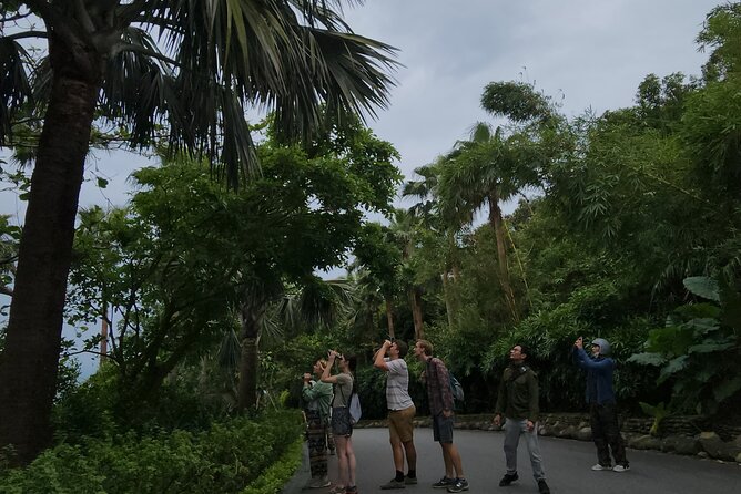 Endangered Monkeys Watching - Red Shanked Douc Langurs - Why Son Tra is one of Da Nang’s best wildlife outings