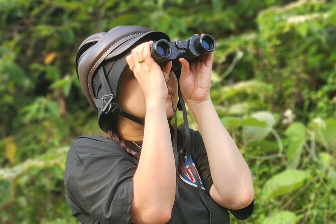 Endangered Monkeys Watching - Red Shanked Douc Langurs - Starting at Esco Beach and heading toward Monkey Mountain