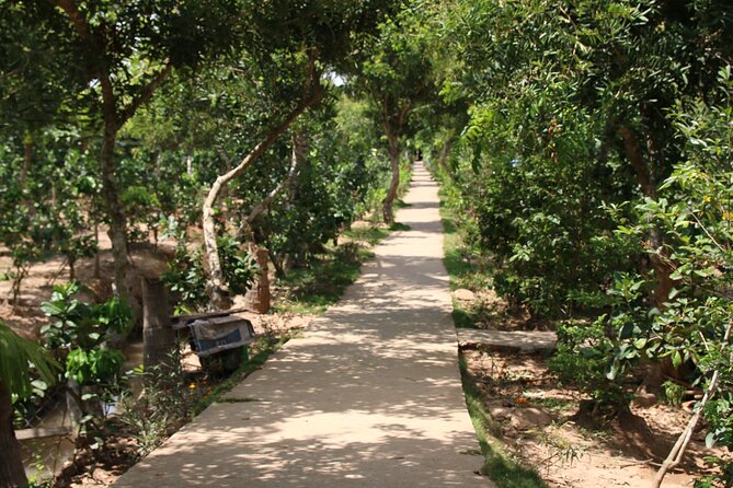 Essential Mekong Delta: Highlights Tour from Ho Chi Minh City - Leaving Ho Chi Minh City for Vĩnh Tràng Pagoda