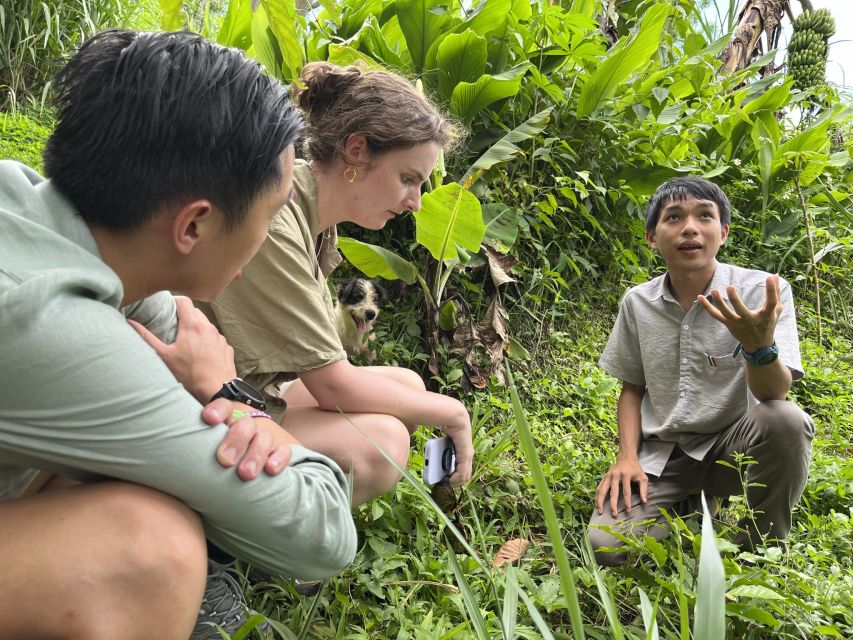Experience specialty coffee with sustainable coffee farmers - Group size, language, and pace