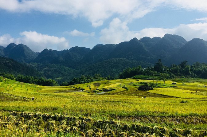 Explore Mai Chau - Pu Luong - Ninh Binh 4 Days / 3 Nights - Who will enjoy this route most