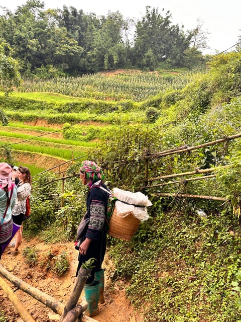 EXPLORE SAPA: 2D1N TREKKING & HMONG CULTURE WITH DINH - Returning to Sapa after lunch